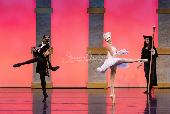 Ballet NTX Sleeping Beauty pc Sharen Bradford-1660