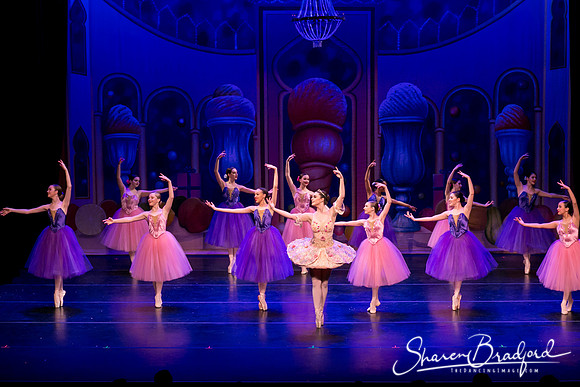 Waltz of the Flowers pc Sharen Bradford-1831