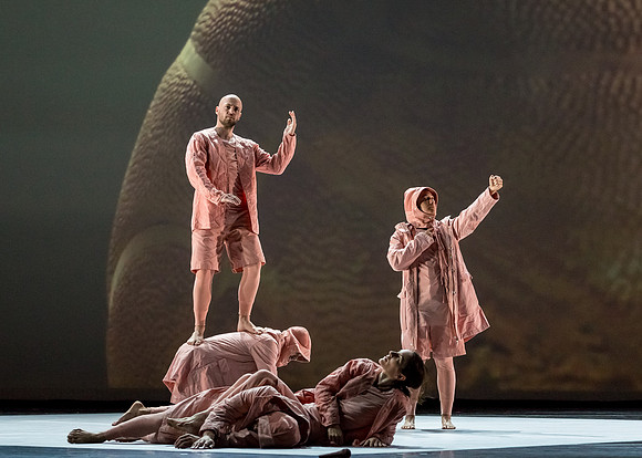 Rules of the Game DRESS-0041