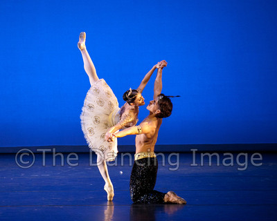 Le Corsaire-1493