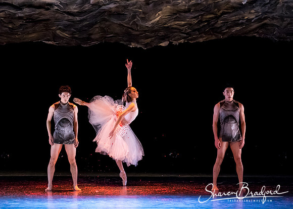 Beijing Dance Theater pc Sharen Bradford-0489