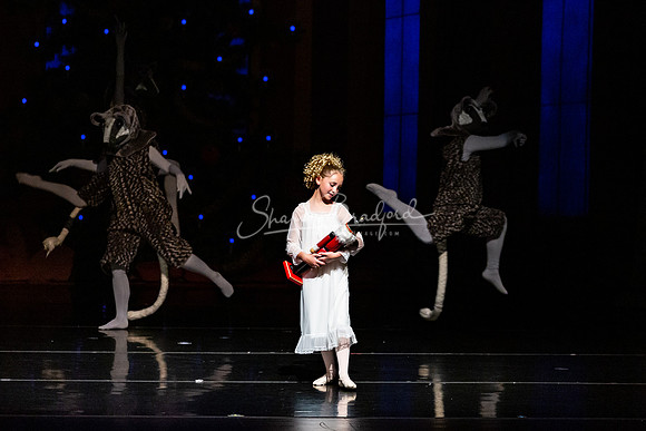 BNT Nutcracker Battle pc Sharen Bradford-0660