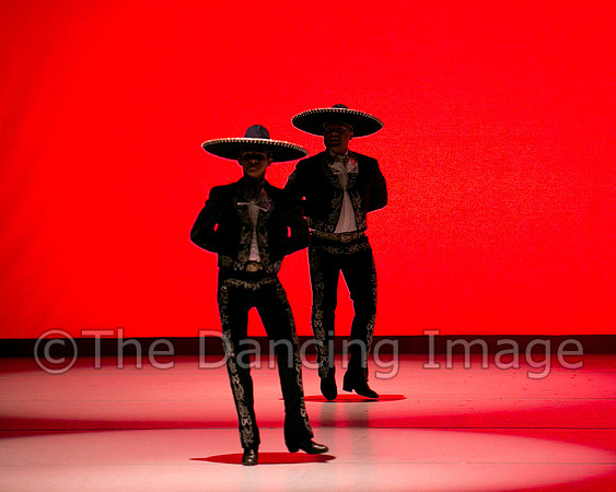Mosaic Dance Project-0313