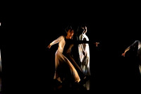 Luminous pc Sharen Bradford-40322