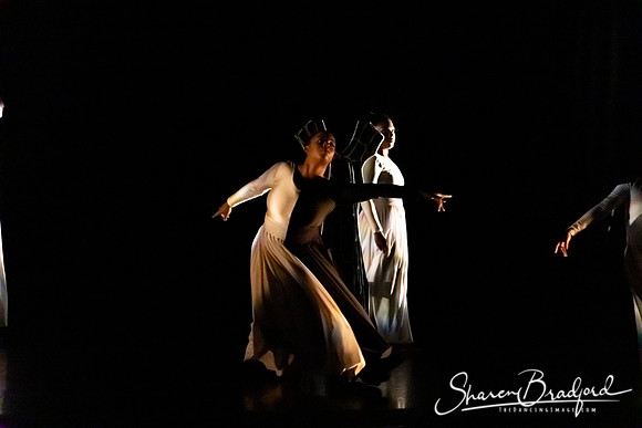 Luminous pc Sharen Bradford-40322