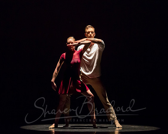 Falling Light pc Sharen Bradford-0550