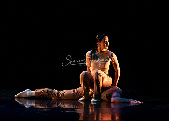 RECURRENCE pc Sharen Bradford-0770