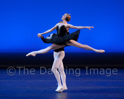 Black Swan-1097