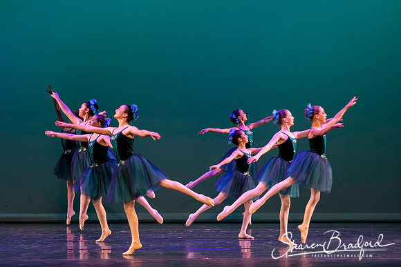 Khachaturian Waltz pc Sharen Bradford-3648