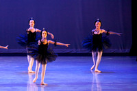 The Black Swans-3419