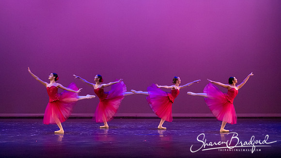 Waltz of the Flowers pc Sharen Bradford-2842