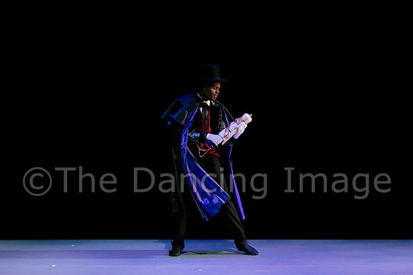 Nutcracker Sat-2691