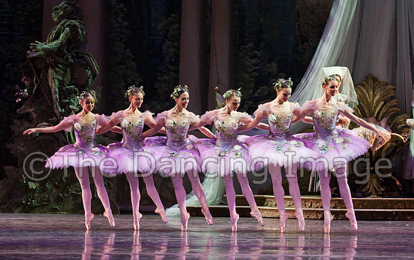 TB Sleeping Beauty Wed.-0098