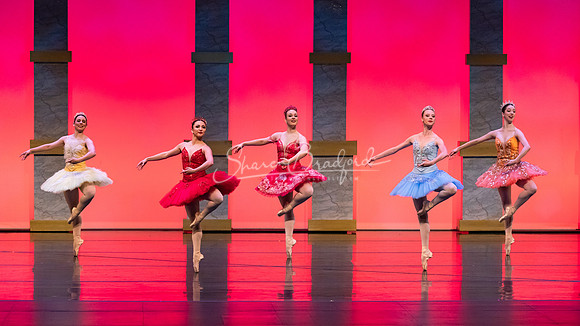 Ballet NTX Sleeping Beauty pc Sharen Bradford-0084