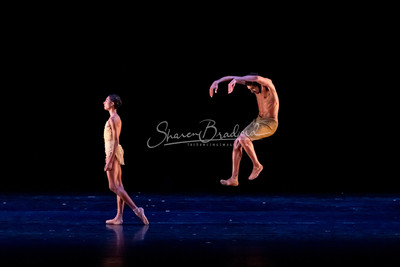 Migration_Lines  Ballet pc Sharen Bradford-41890