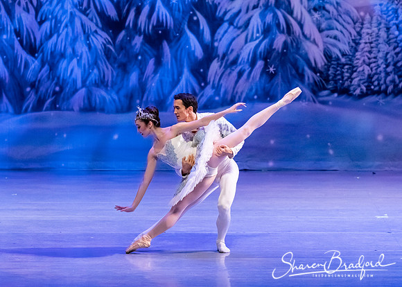 CCBT Nutcracker 19 pc Sharen Bradford-4829
