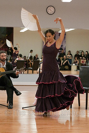 Flamenco-2-58