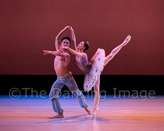 Le Corsaire-2988