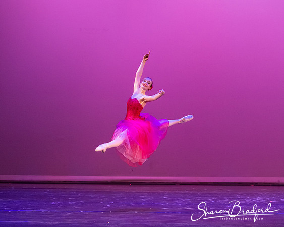 Waltz of the Flowers pc Sharen Bradford-2747