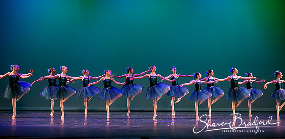Khachaturian Waltz pc Sharen Bradford-3718