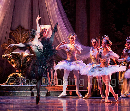 TB Sleeping Beauty Wed.-0483