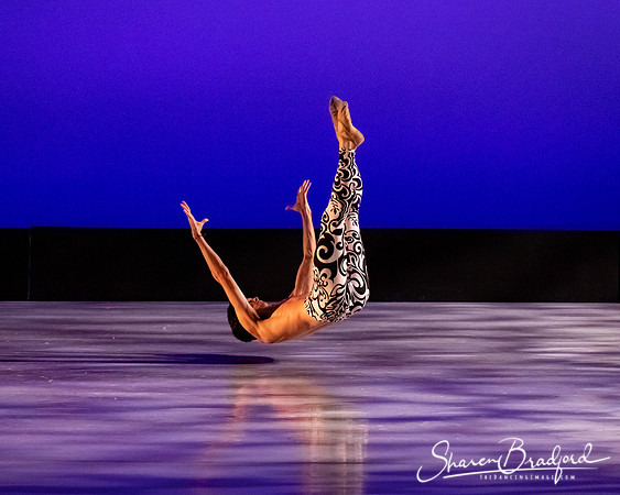 Ballet 37 pc Sharen Bradford-0511