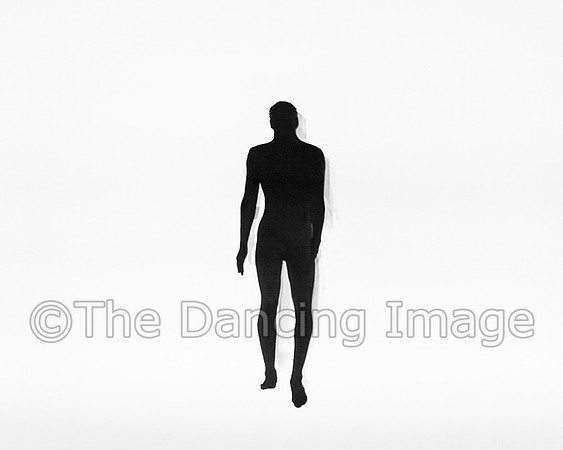 IMG_9331