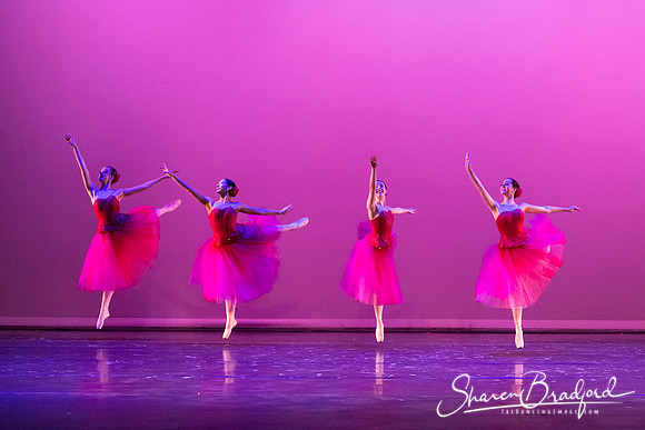 Waltz of the Flowers pc Sharen Bradford-2789