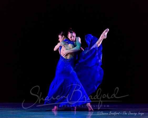 Following Echoes - pc Sharen Bradford-0827