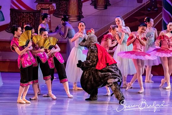 CCBT Nutcracker 19 pc Sharen Bradford-5463