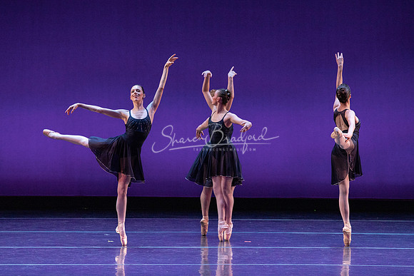 ACB Rhapsody in Blue pc Sharen Bradford-1366