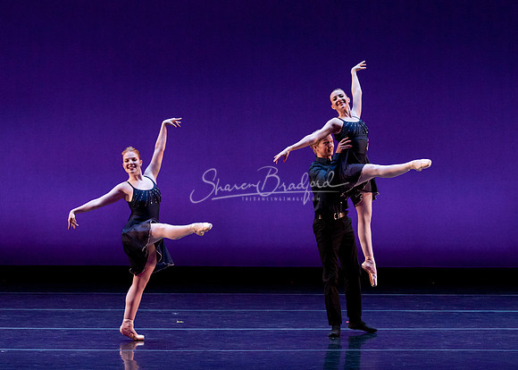 ACB Rhapsody in Blue pc Sharen Bradford-1165