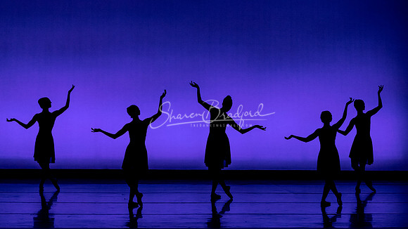ACB Rhapsody in Blue pc Sharen Bradford-1099