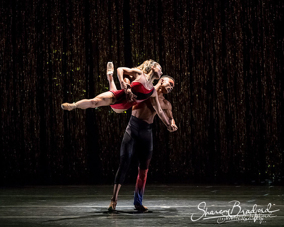Stardust-pc Sharen Bradford-1596