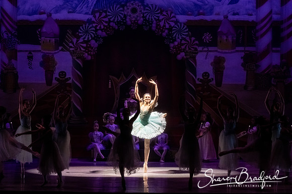 CCBT Nutcracker 19 pc Sharen Bradford-5246