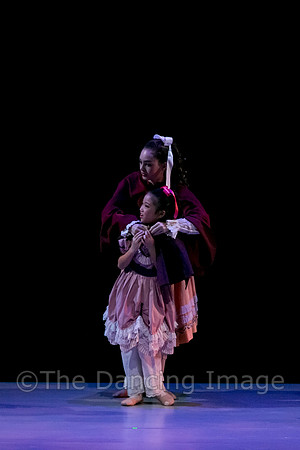 Nutcracker Sat-2716