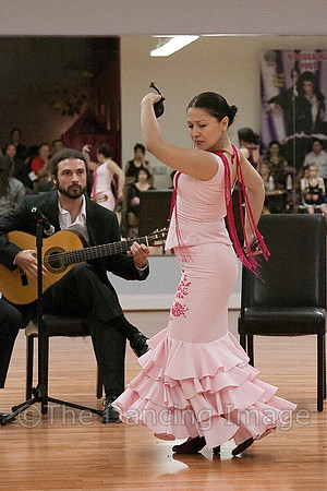 Flamenco-2-74