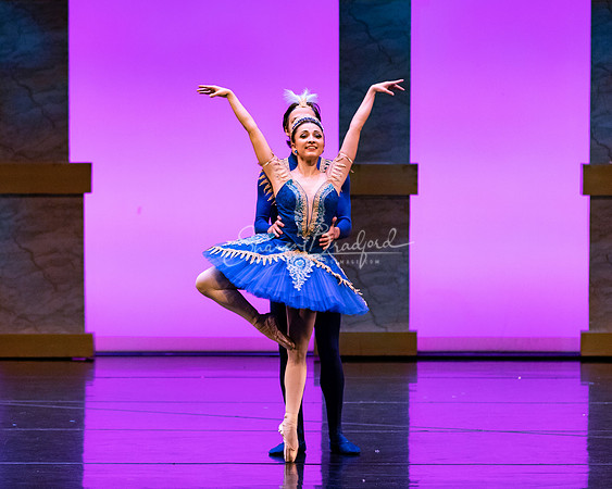 Ballet NTX Sleeping Beauty pc Sharen Bradford-1880