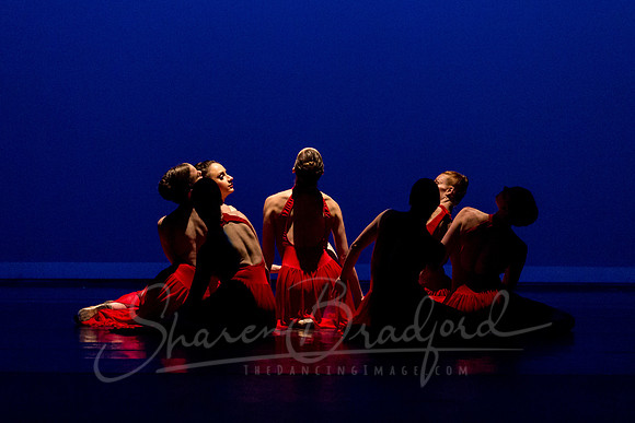 Subconscious Motion pc Sharen Bradford-1150