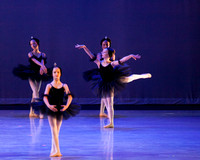 The Black Swans-3408