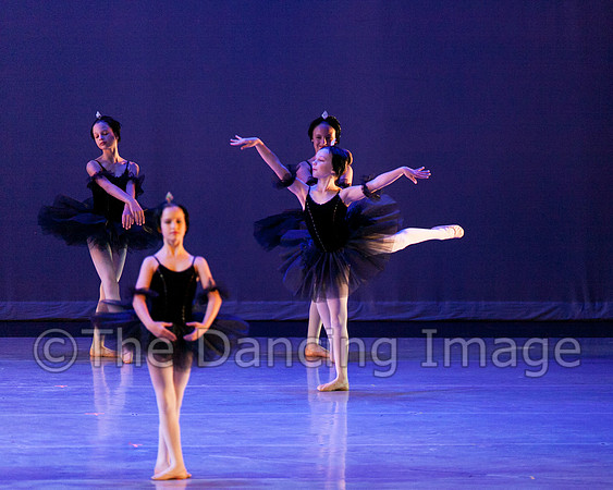 The Black Swans-3408