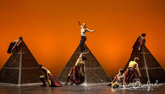 DIAVOLO - Voyage pc Sharen Bradford-0260