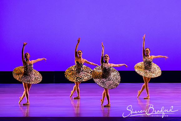 Ballet 37 pc Sharen Bradford-0373