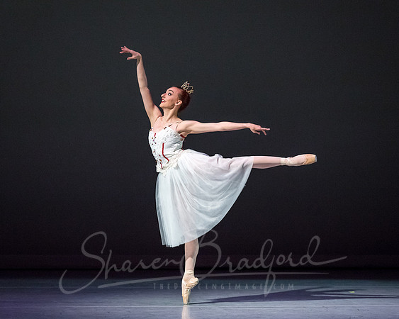 Circus Alius - pc Sharen Bradford-0525