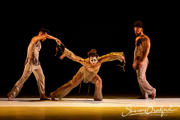 Delfos Danza pc Sharen Bradford-0377