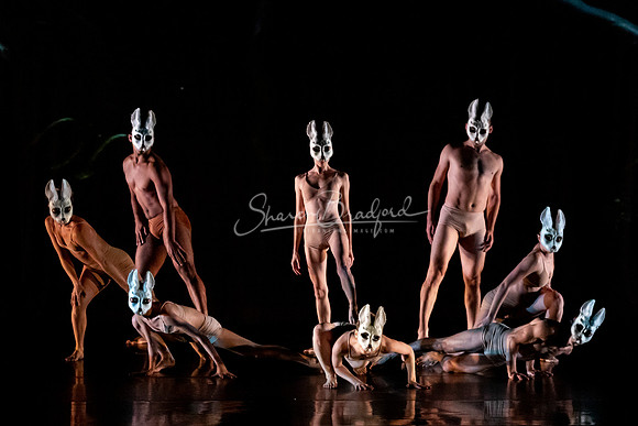 Momix ALICE 9-17-21 pc Sharen Bradford-1472
