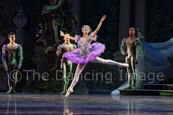 TB Sleeping Beauty Wed.-0079
