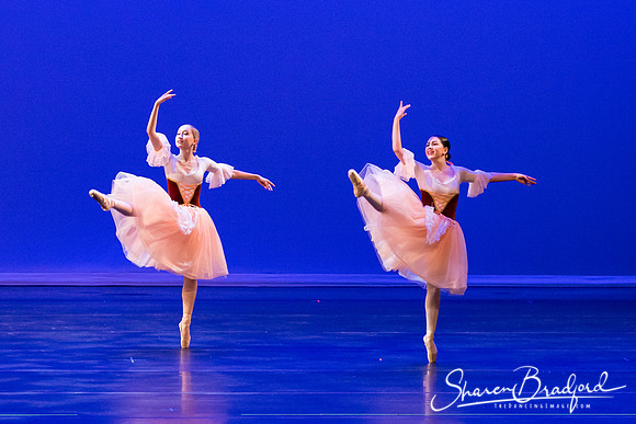 Coppelia-1699