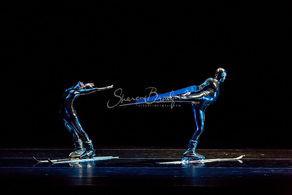 Millennium Skiva pc Sharen Bradford-8506
