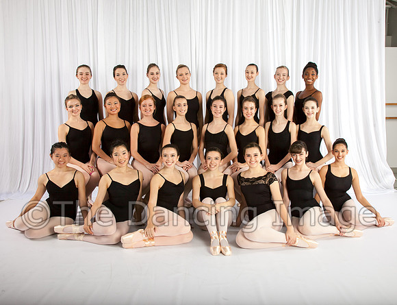 CPA Senior Company-2889